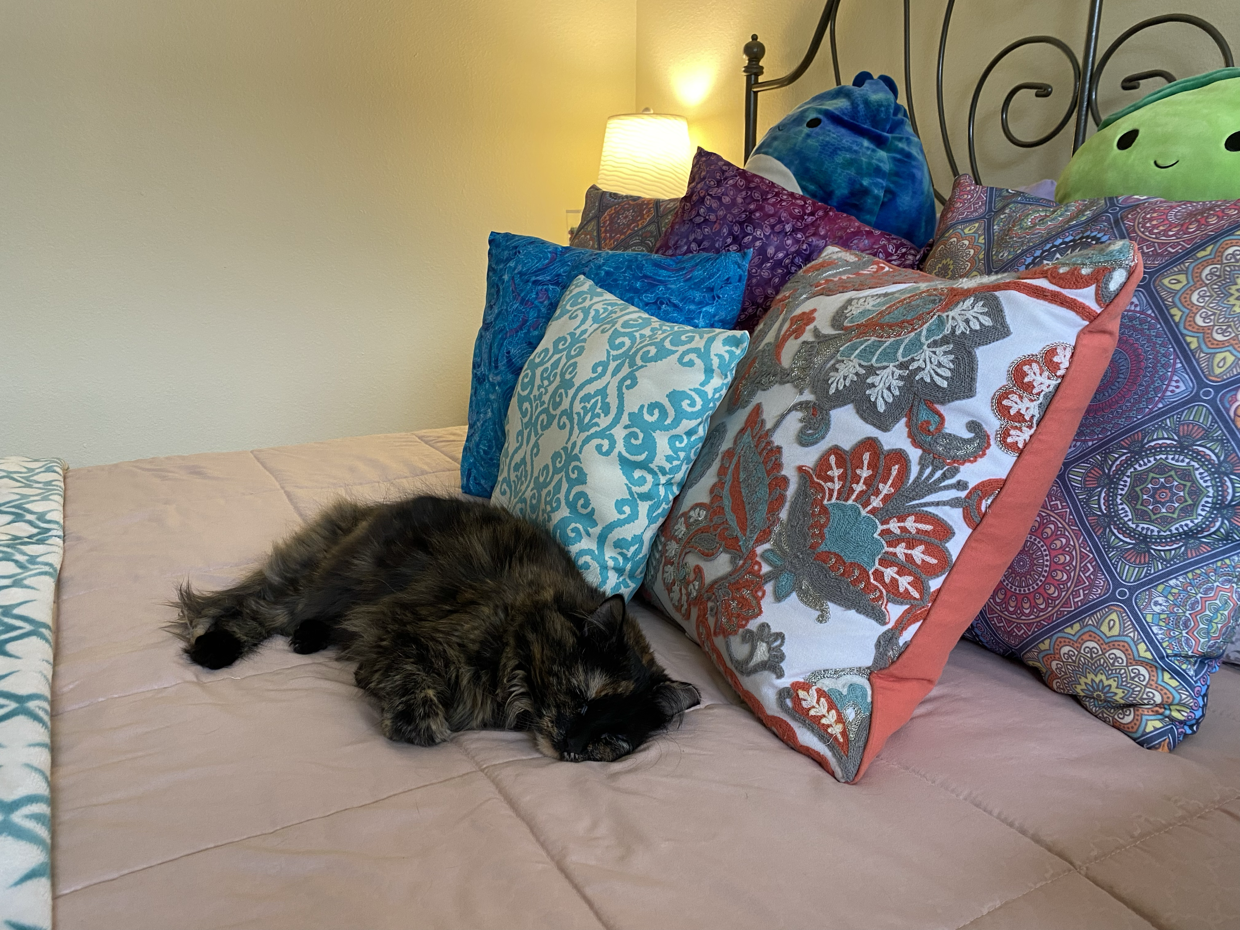 Giroux sleeps on bed